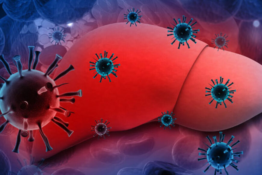 Article for Hepatitis and rest of virus