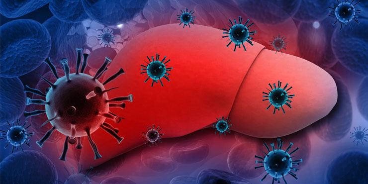 Article for Hepatitis and rest of virus