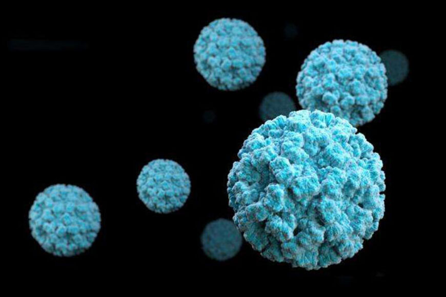 Ultraviolet-C efficacy against a norovirus surrogate and hepatitis