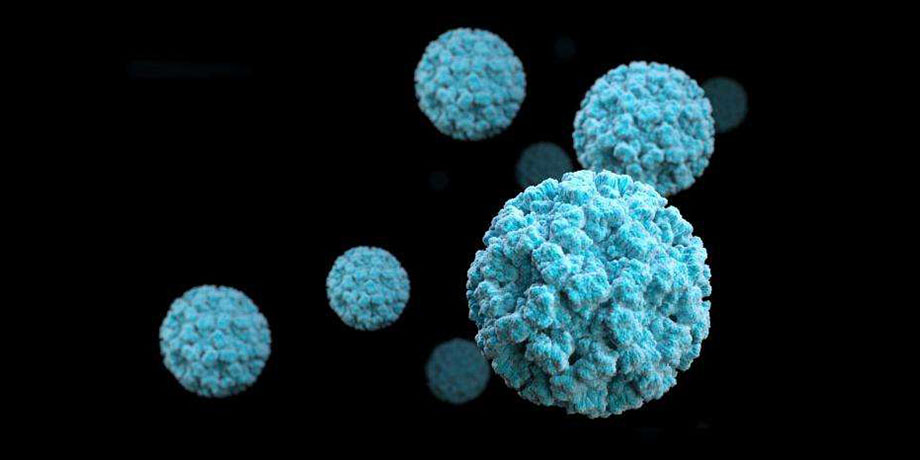 Ultraviolet-C efficacy against a norovirus surrogate and hepatitis